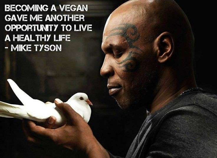 Mike Tyson vegan per gli animali