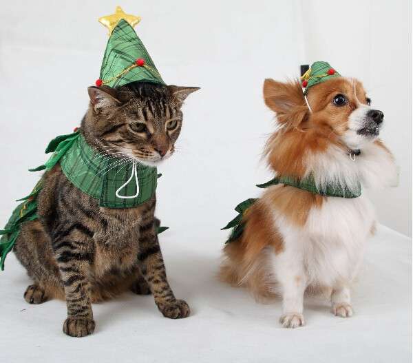 Abbigliamento per cani e gatti a Natale
