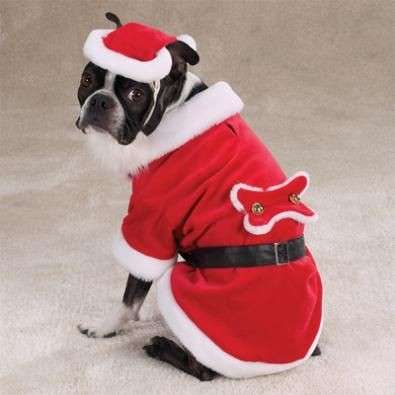 Vestito per cane da Babbo Natale