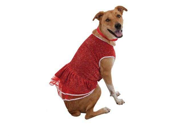 Vestitino rosso per cane