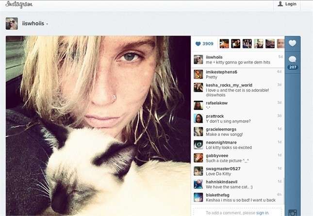 Kesha sui social col gatto