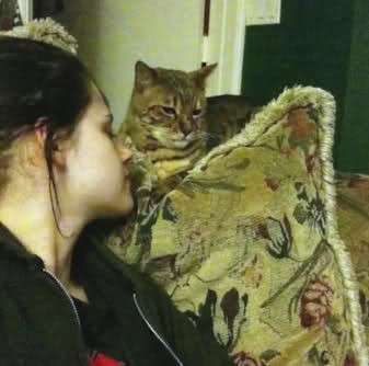 Kirsten Dunst e il gatto