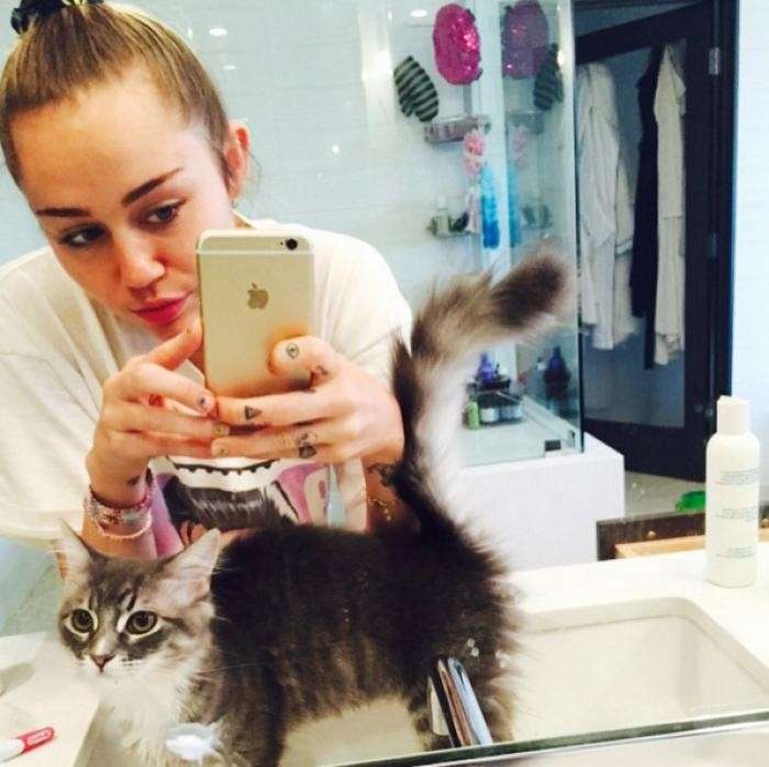 Miley Cyrus col suo gattino