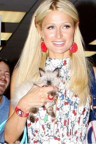 Paris Hilton e la gattina