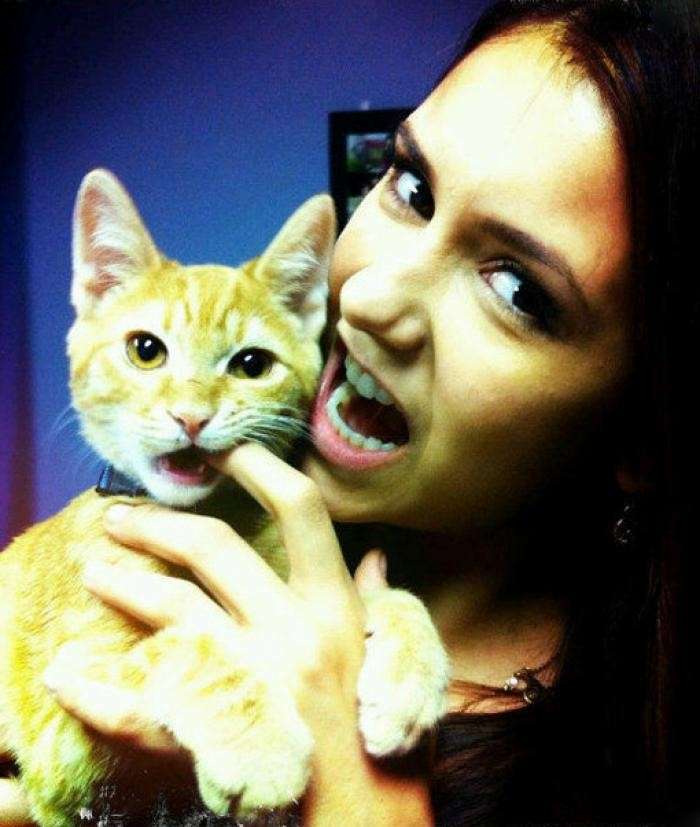 Nina Dobrev con suo gatto