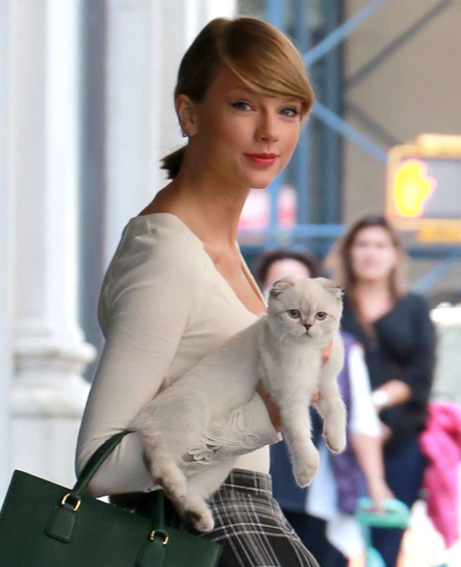 Taylor Swift con in braccio il gatto