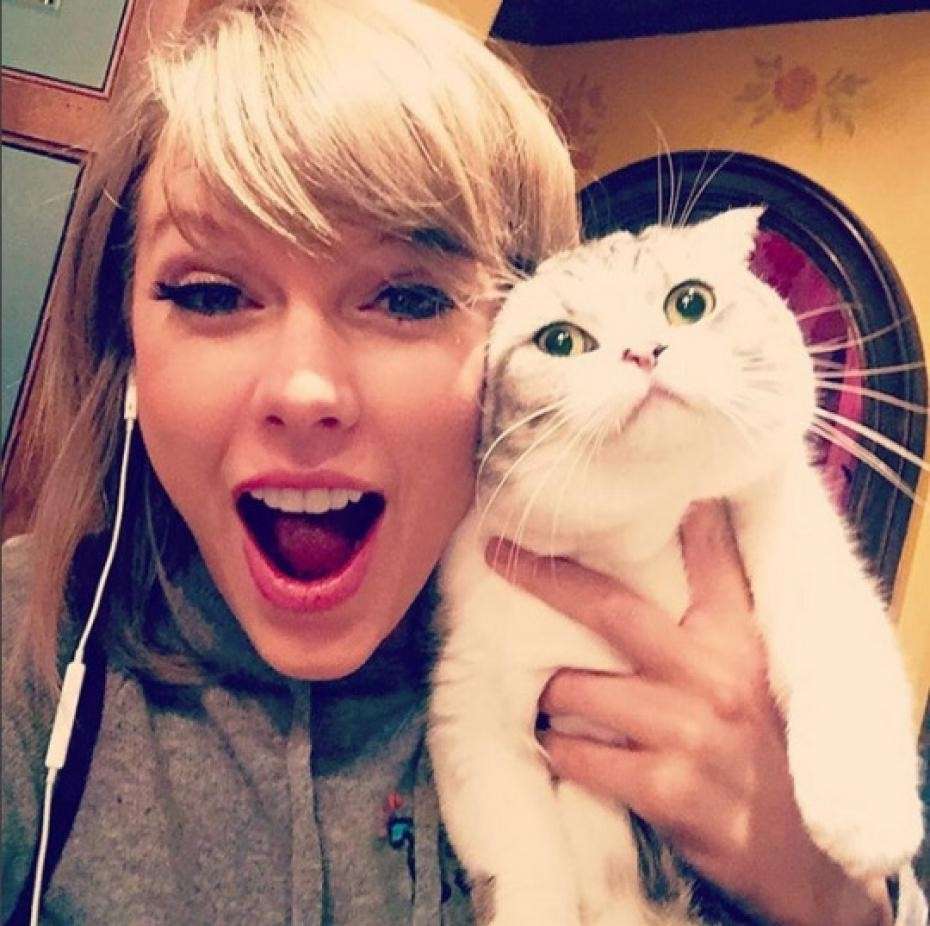 Taylor e la gatta