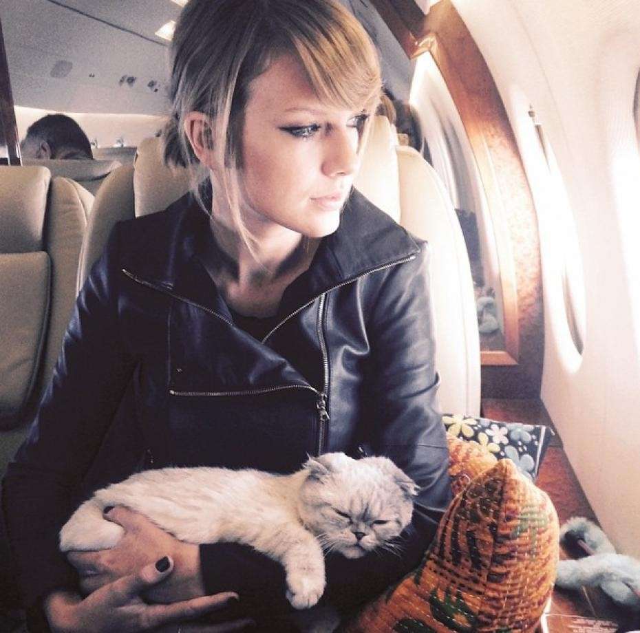 Taylor Swift in viaggio coi gatti