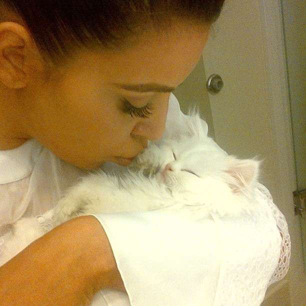 Kim Kardashian bacia il gattino