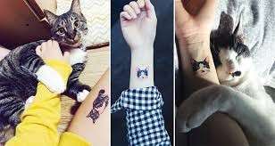 Tatuaggi con gatti