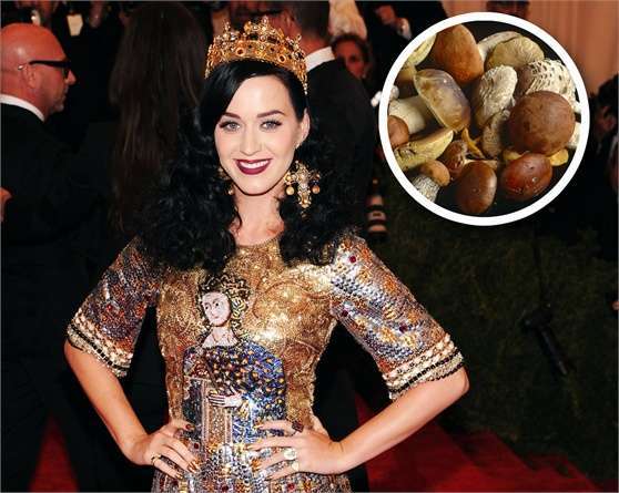 Katy Perry ama i funghi