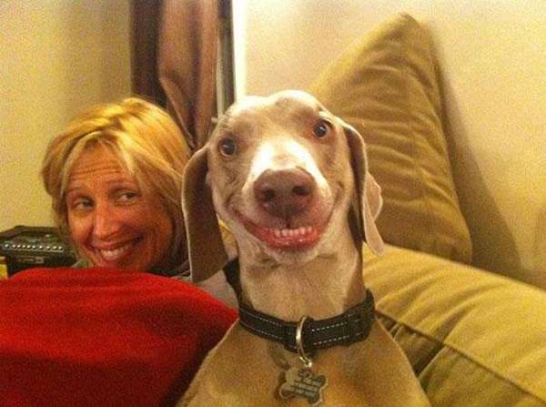 Il pelfie di un cane che sorride