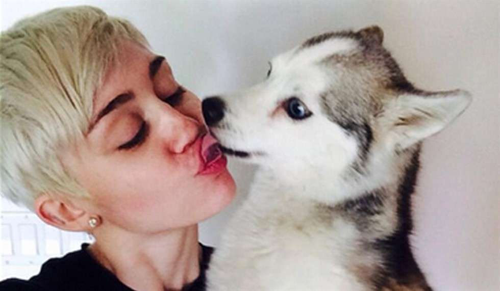 Pelfie di Miley Cyrus con il cane