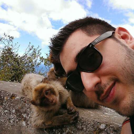 Selfie di una scimmia