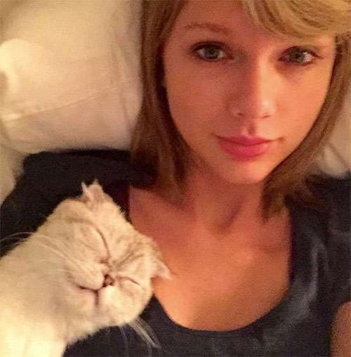 Selfie di Taylor Swift con il gatto