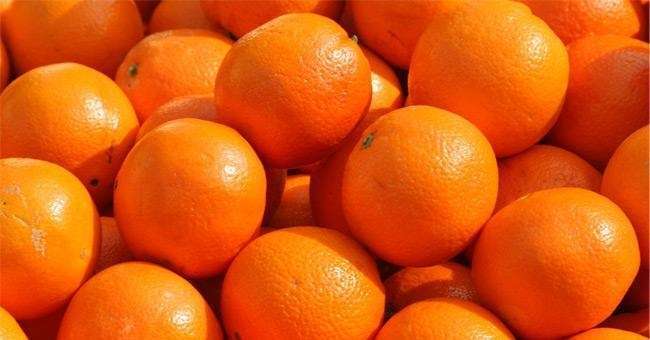 Ricette con arance