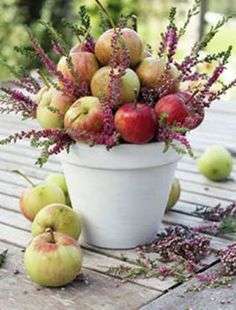 Vaso di fiori e mele