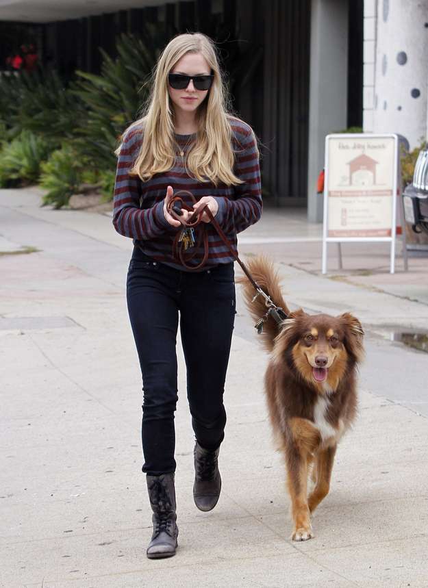 Amanda Seyfried con il cane Flynn