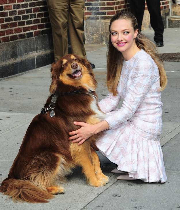 Amanda Seyfried con il suo cane