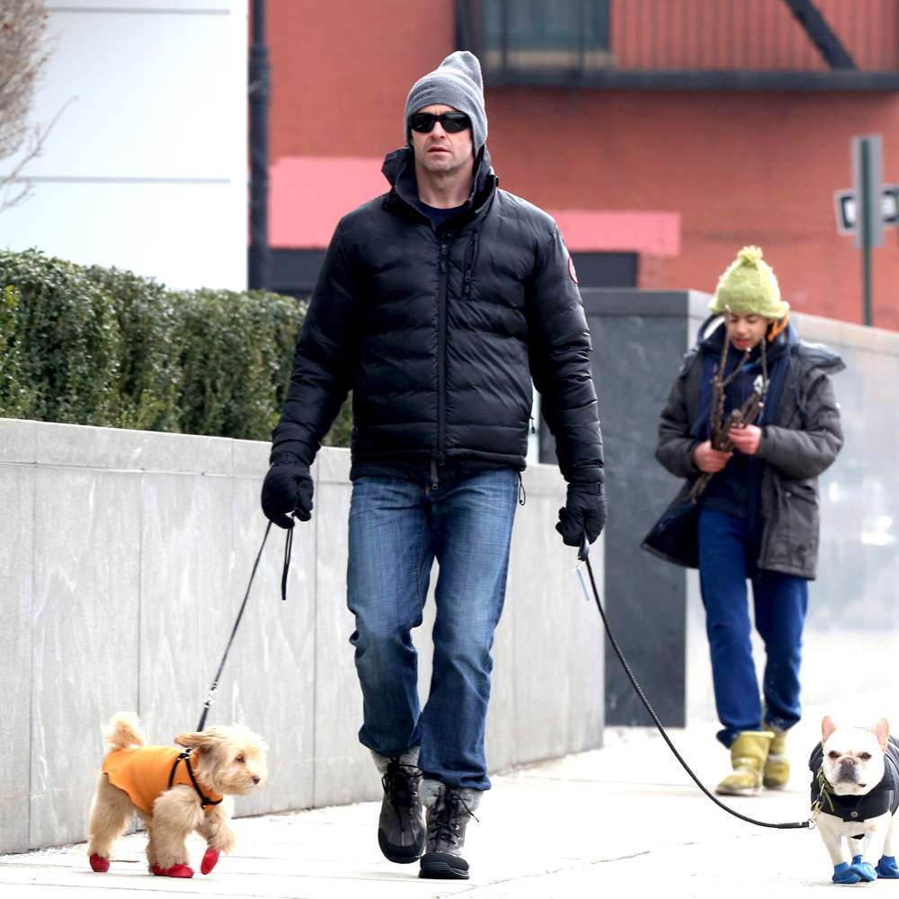 Hugh Jackman con i suoi cani