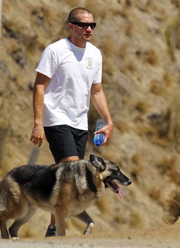 Jake Gyllenhaal con il cane Atticus