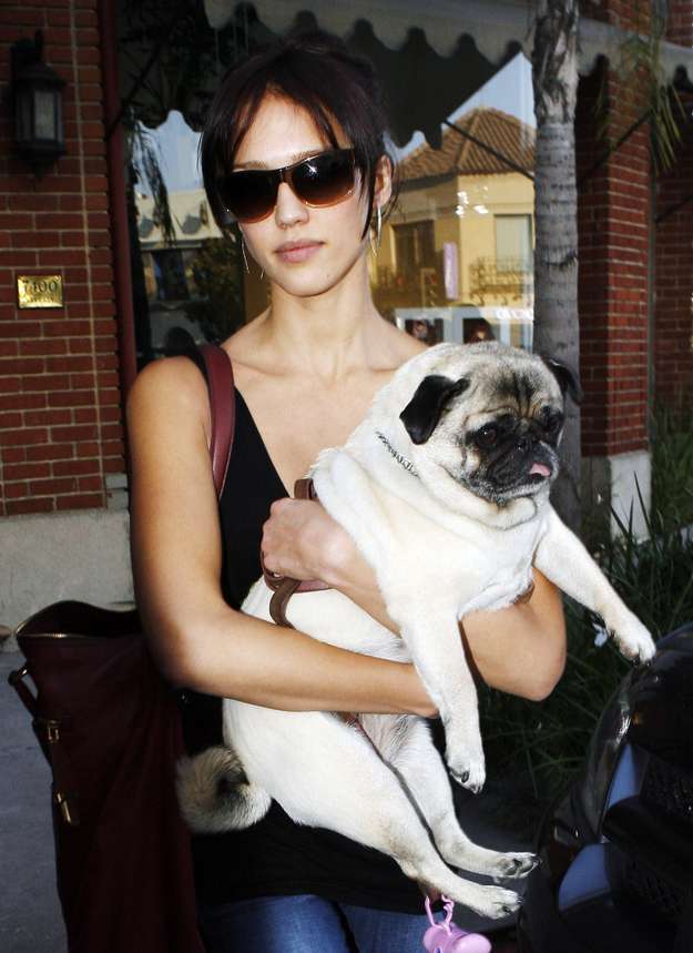 Jessica Alba con il cane Sid