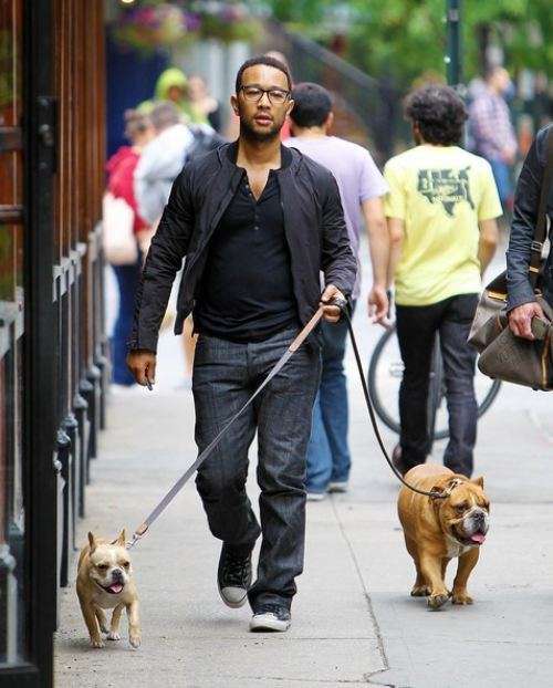 John Legend con i suoi cani