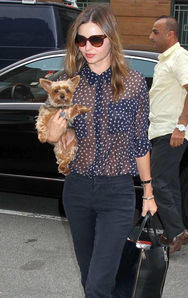 Miranda Kerr con il cane Frankie