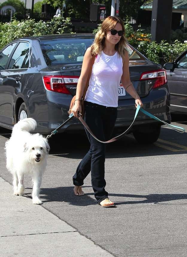 Olivia Wilde con il cane Paco