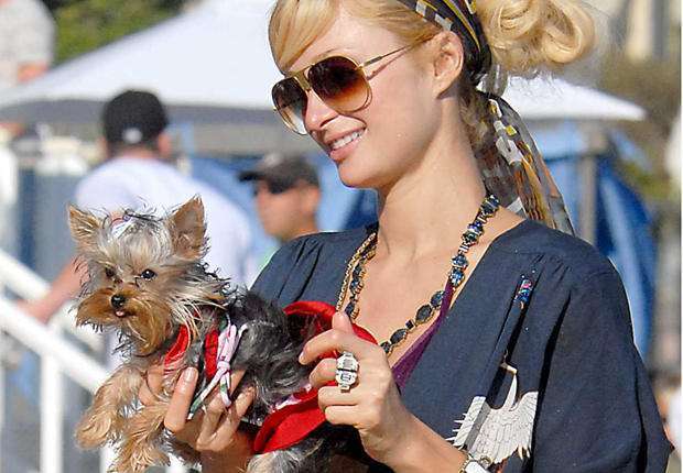 Paris Hilton con il suo cane