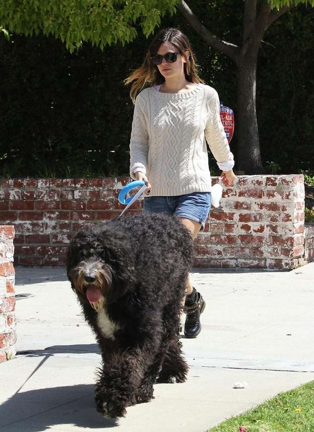Rachel Bilson con il suo cane