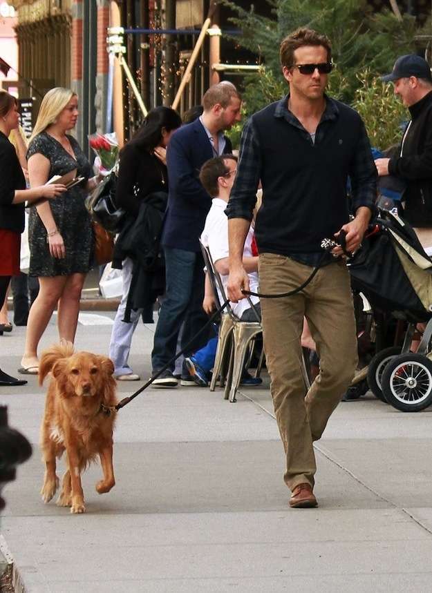 Ryan Reynolds con il cane Baxter