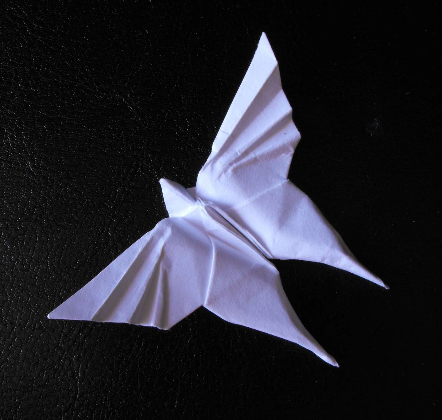 Origami un po' più complesso: la farfalla