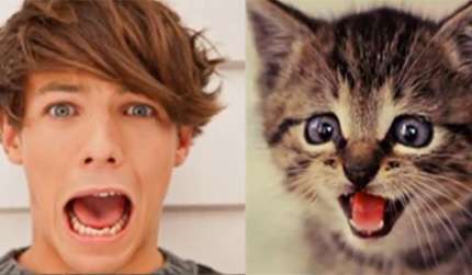 Louis come un gatto spaventato