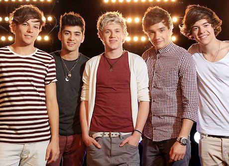 One Direction: A Year in the Making One Direction Wiki